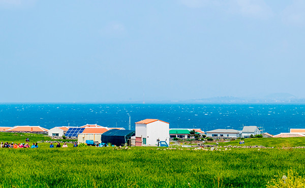 제주 버스패키지 4일 (봄바당제주 가파도 미식여행)