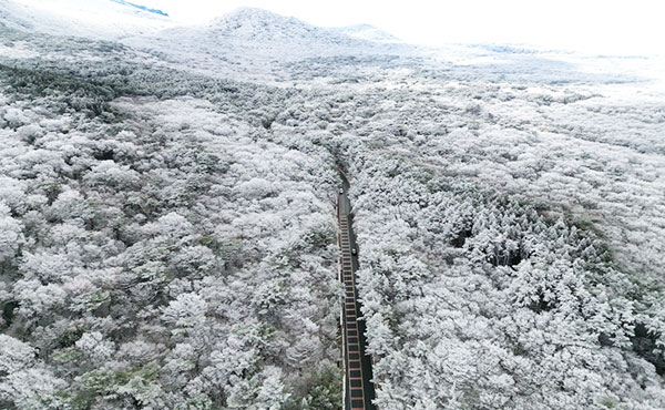 제주 버스 패키지 4일 