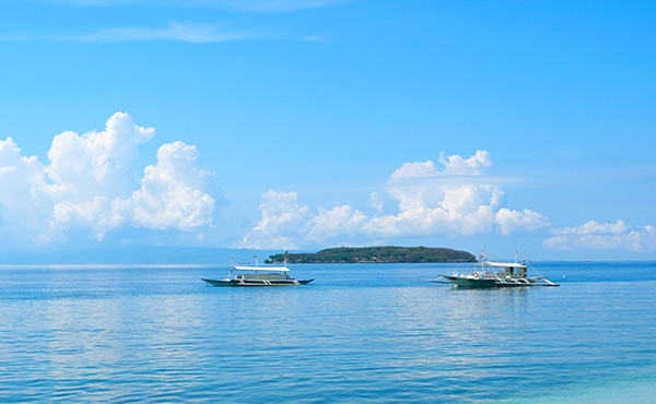 세부vs보홀<br>슬림패키지 4/5일