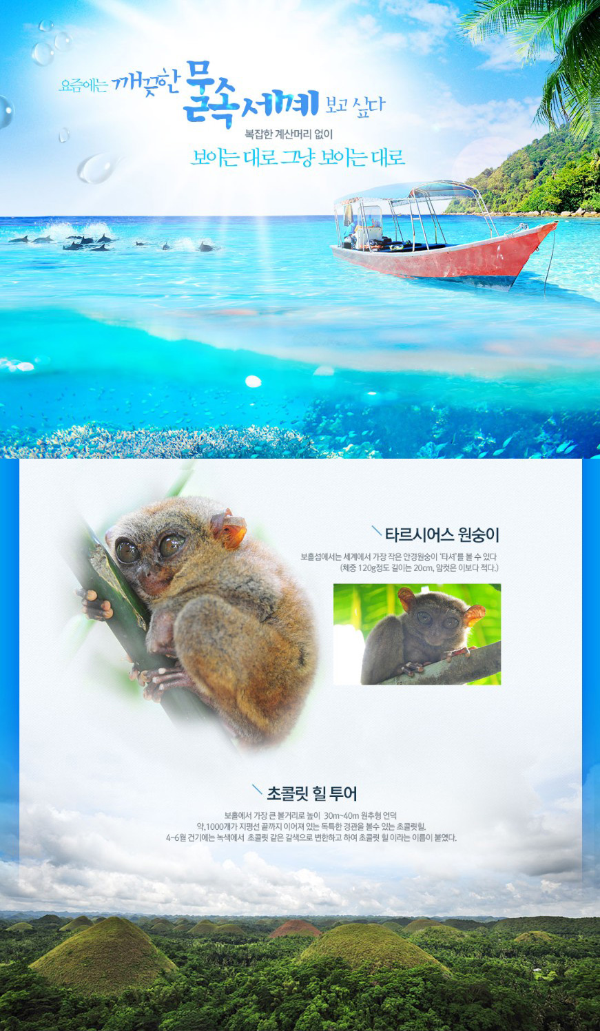 노랑홈쇼핑 이미지