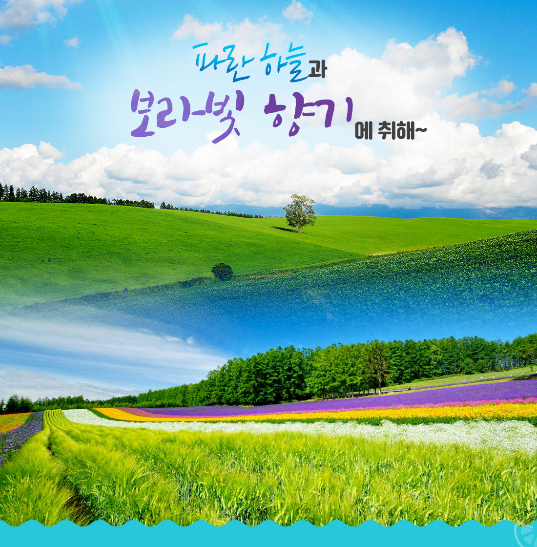 파란 하늘과 보라빛 향기에 취해~