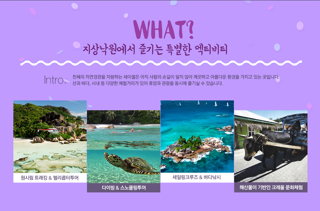 WHAT? 지상낙원에서 즐기는 특별한 엑티비티