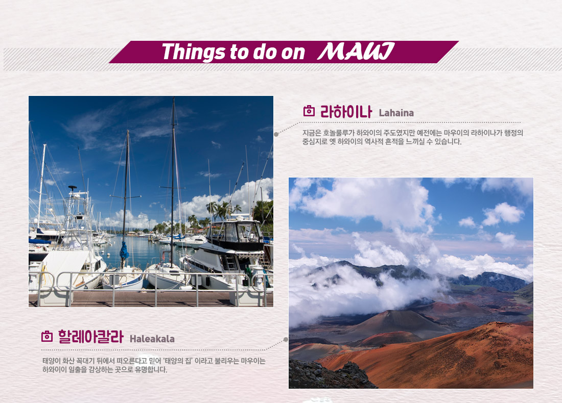Things to do on MAUI - 라하이나, 할레아칼라