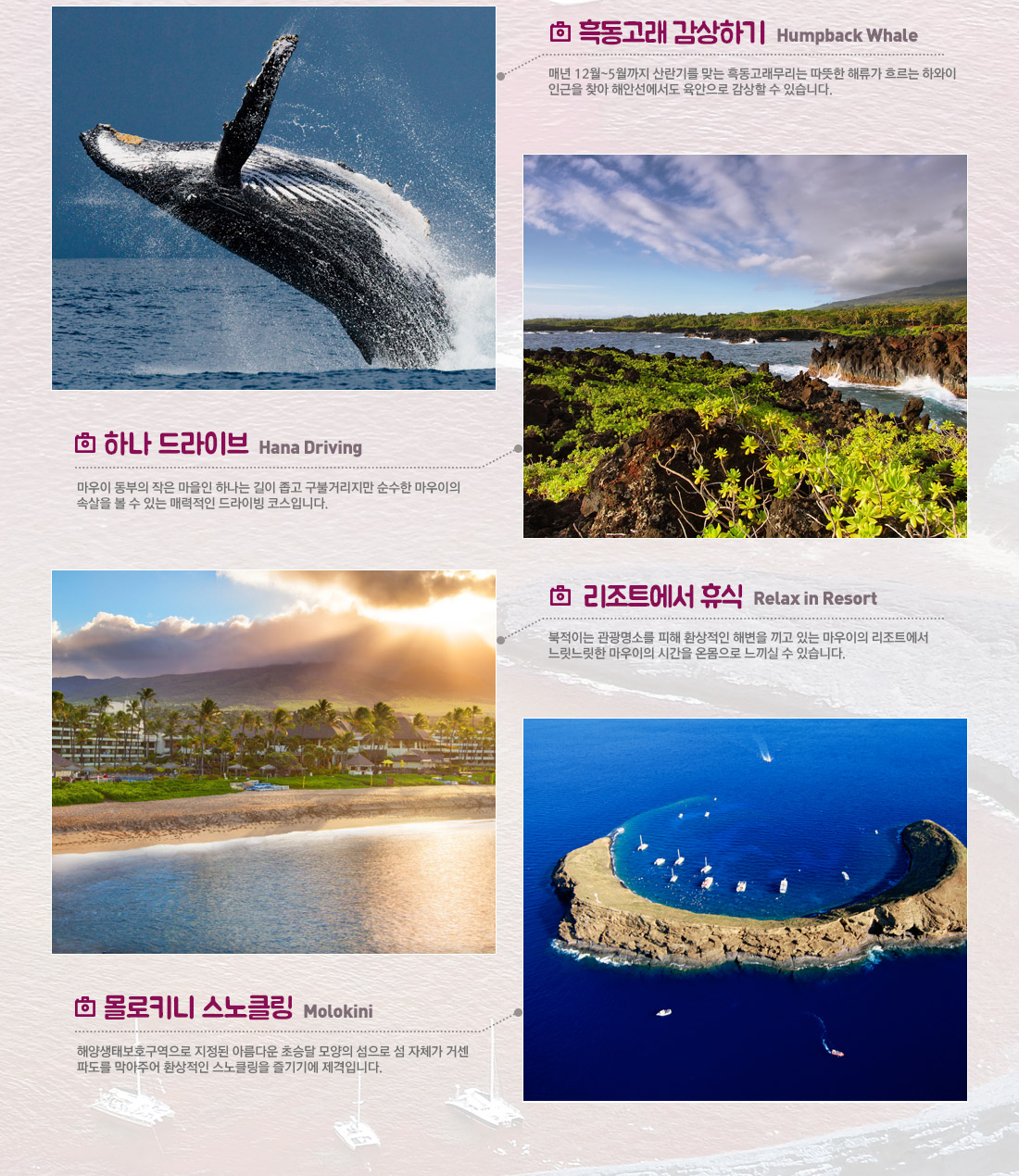 Things to do on MAUI - 흑동고래 감상하기, 하나 드라이브, 리조트에서 휴식, 몰로키니 스노클링