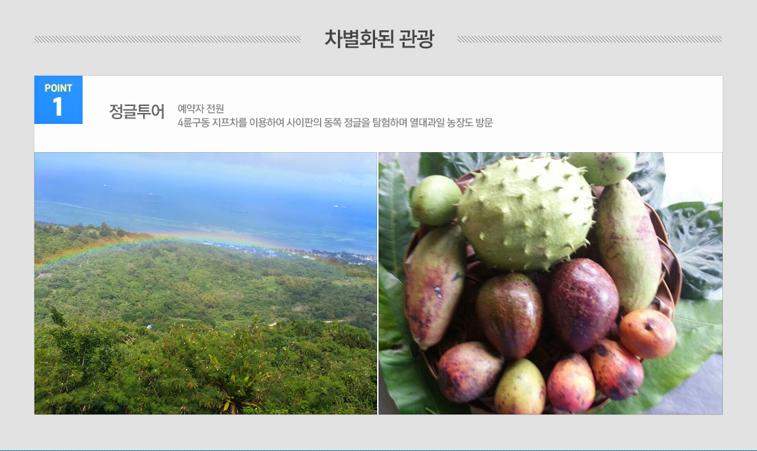 차별화된 관광 - 정글투어 : 예약자 전원 4륜구동 지프차를 이용하여 사이판의 동쪽 정글을 탐험하며 열대과일 농장도 방문. ROOM(블루/그레이 랜덤 배정) 로얄 디럭스룸 : 특수제작한 침구와 어메니티가 있으며, 전망 좋은 6~9층에 위치
