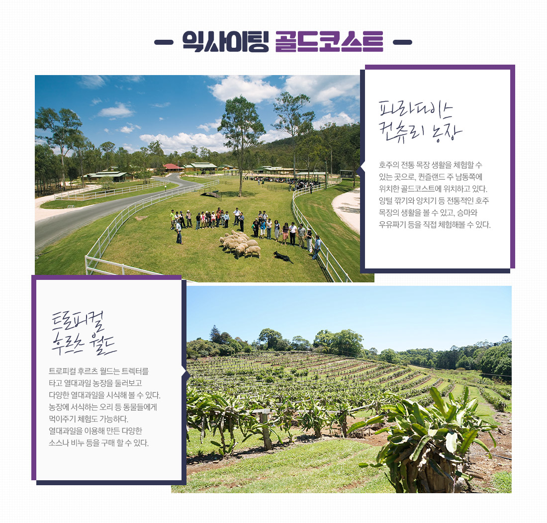 휴양의 도시 골드코스트 아래 설명