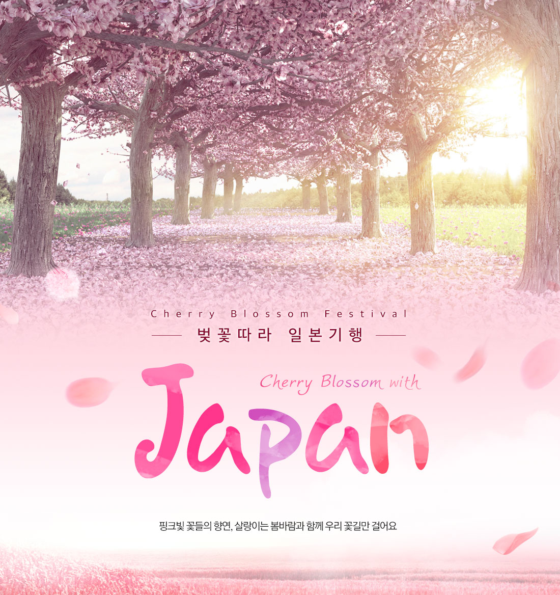 벚꽃따라 일본기행 cherry blossom with japan 핑크빛 꼴들의 향연, 살랑이는 봄바람과 함께 우리 꽃길만 걸어요