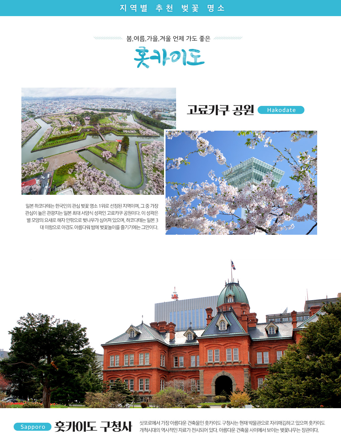 봄 여름 가을 겨울 언제가도 좋은 홋카이도