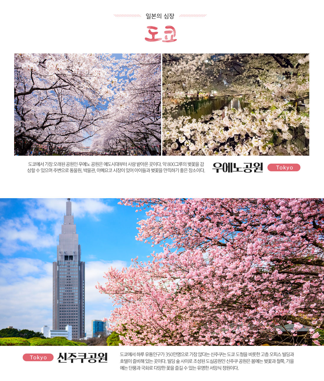 일본의 심장 도쿄