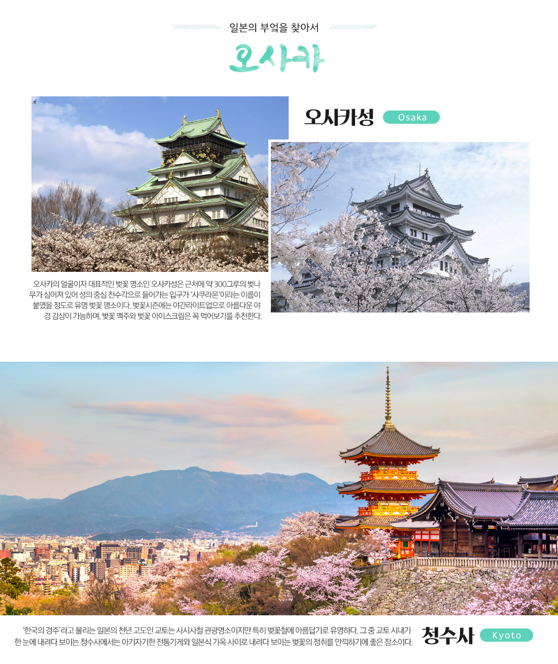 일본의 부엌을 찾아서 오사카