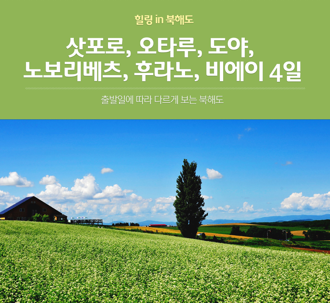 힐링 in 북해도 삿포로, 오타루, 도야, 노보리베츠, 후라노, 비에이 4일 출발일에 따라 다르게 보는 북해도