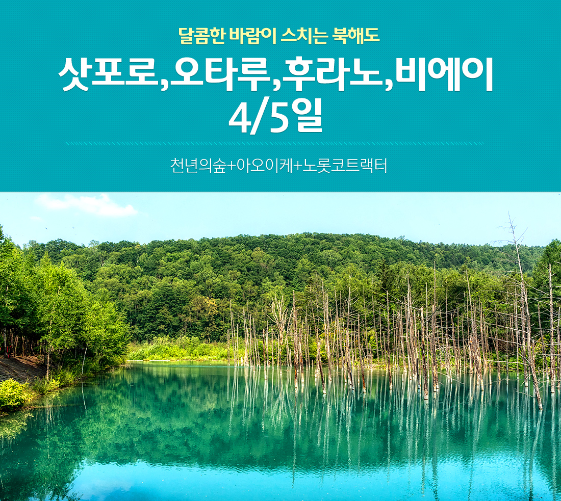 달콤한 바람이 스치는 북해도 삿포로,오타루,후라노,비에이 4/5일 천년의숲+아오이케+노롯코트랙터