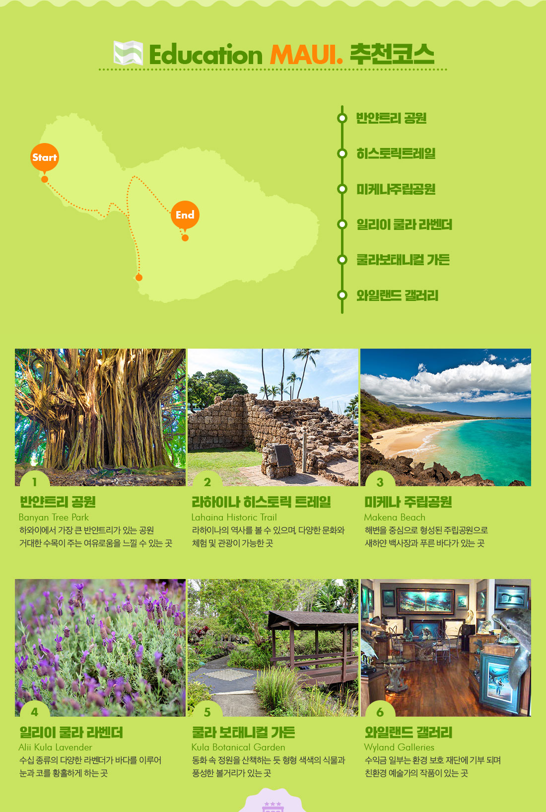 Education MAUI. 추천코스 아래 설명