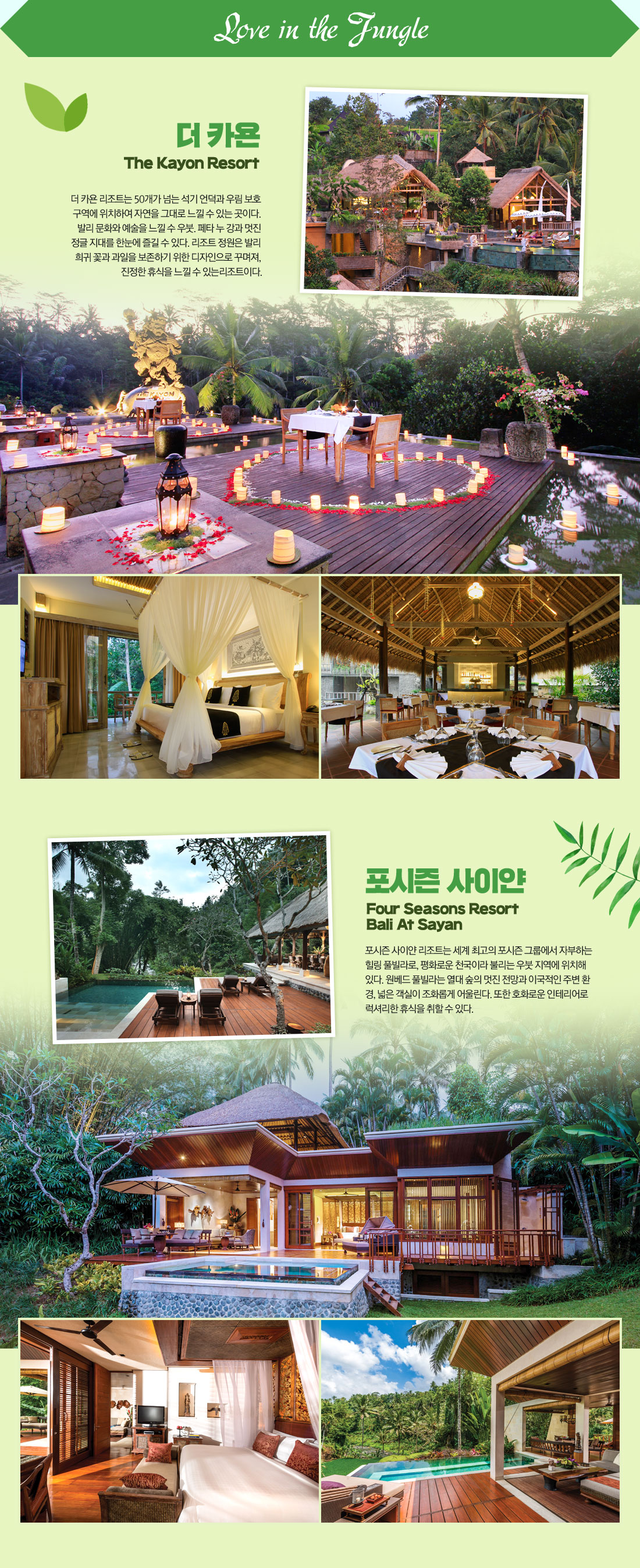 Love in the Jungle 아래설명