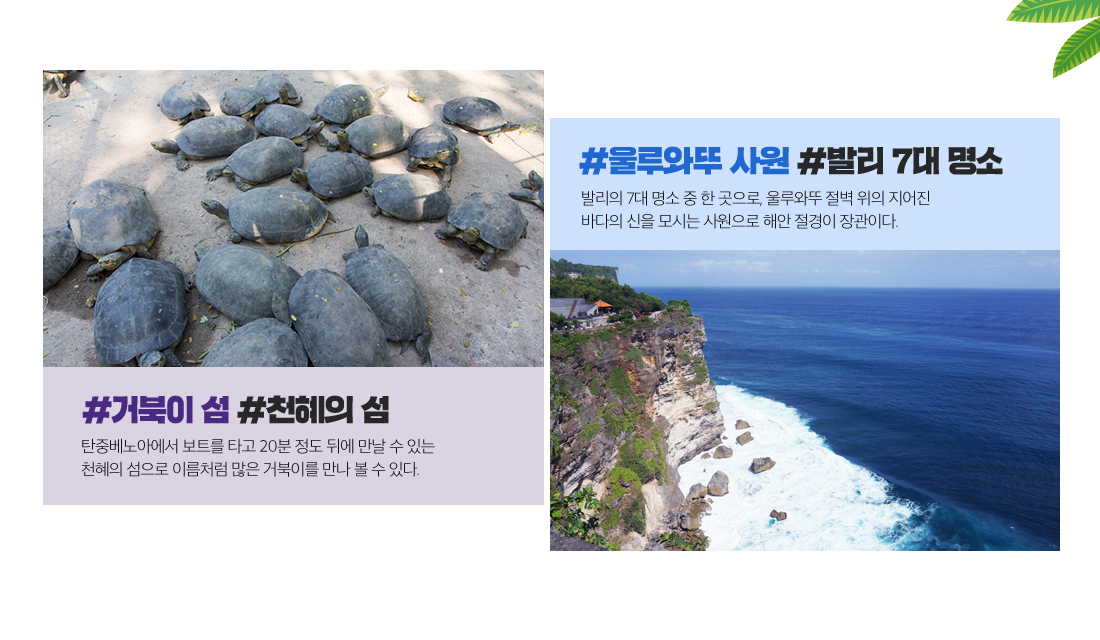 #거북이 섬 #천혜의 섬,탄중베노아에서 보트를 타고 20분 정도 뒤에 만날 수 있는 천혜의 섬으로 이름처럼 많은 거북이를 만나 볼 수 있다. #울루와뚜 사원 #발리 7대 명소, 발리의 7대 명소 중 한 곳으로, 울루와뚜 절벽 위의 지어진 바다의 신을 모시는 사원으로 해안 절경이 장관이다.