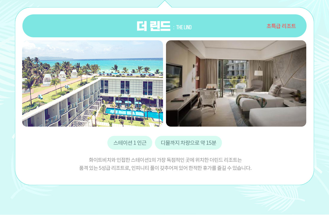 더 린드 : The Lind