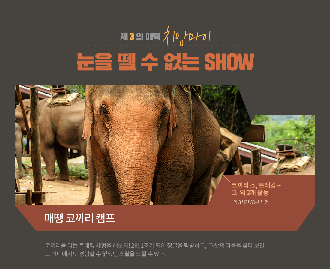 제 3 의 매력 치앙마이, 눈을 뗄 수 없는 SHOW 아래설명