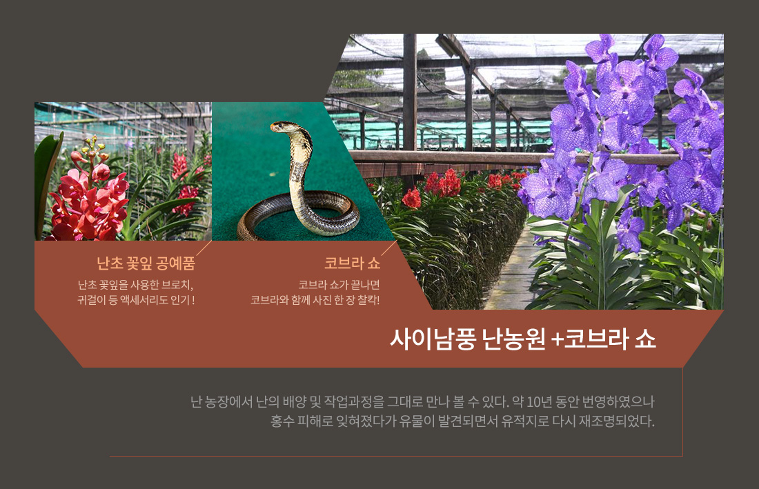 제 3 의 매력 치앙마이, 눈을 뗄 수 없는 SHOW 아래설명