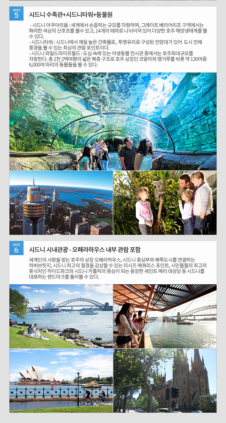 [추천 지역 정보] 시드니 5,6
