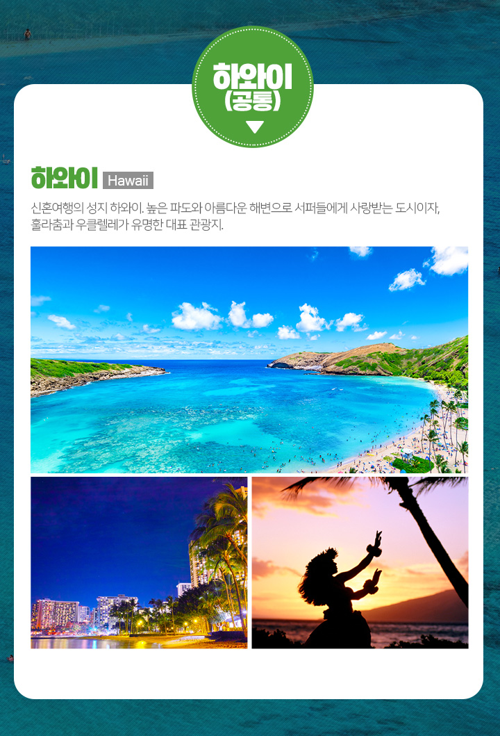 하와이