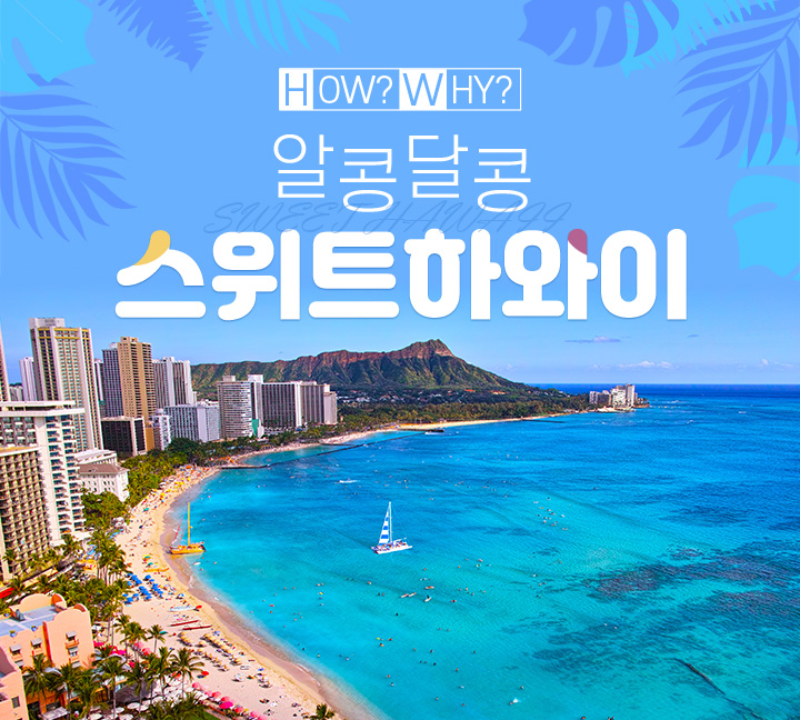 HOW?WHY? 알콩달콩 스위트하와이