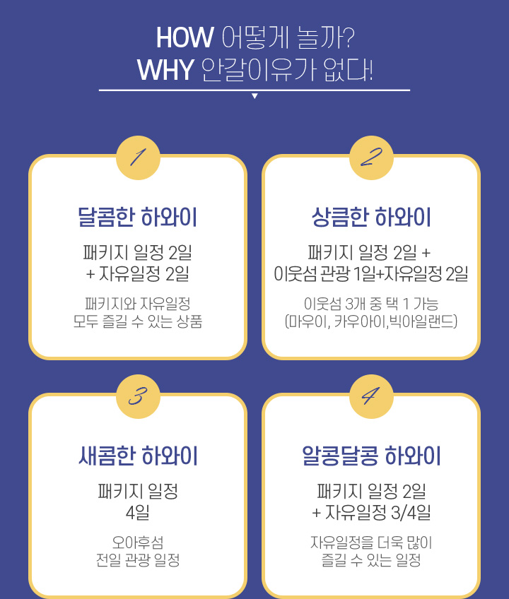 HOW, 어떻게 놀까? WHY, 안 갈 이유가 없다!