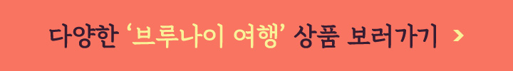 다양한 '브루나이 여행'상품 보러가기