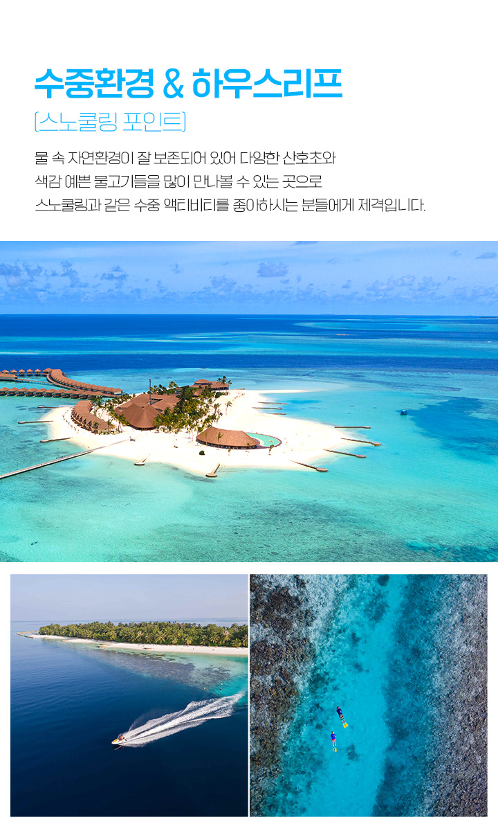 수중환경 & 하우스리프 소개