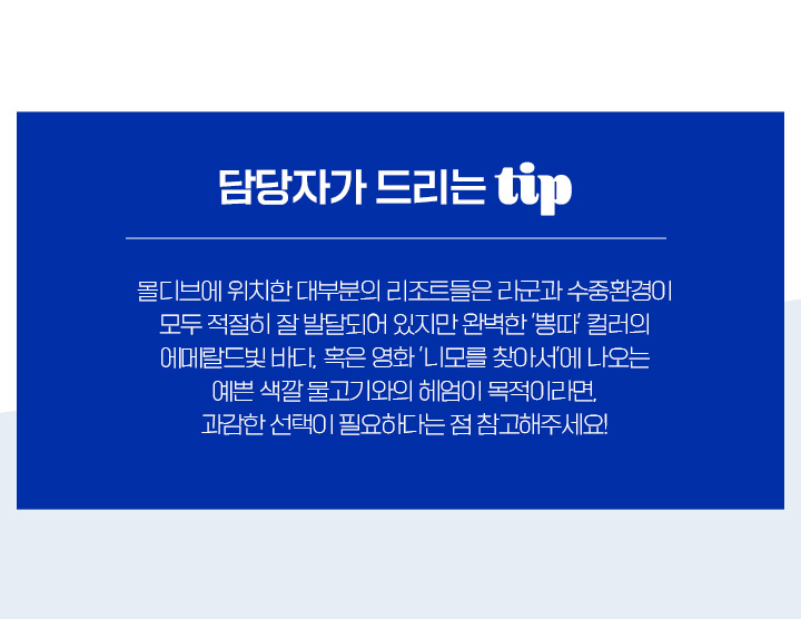 담당자가 드리는 TIP
