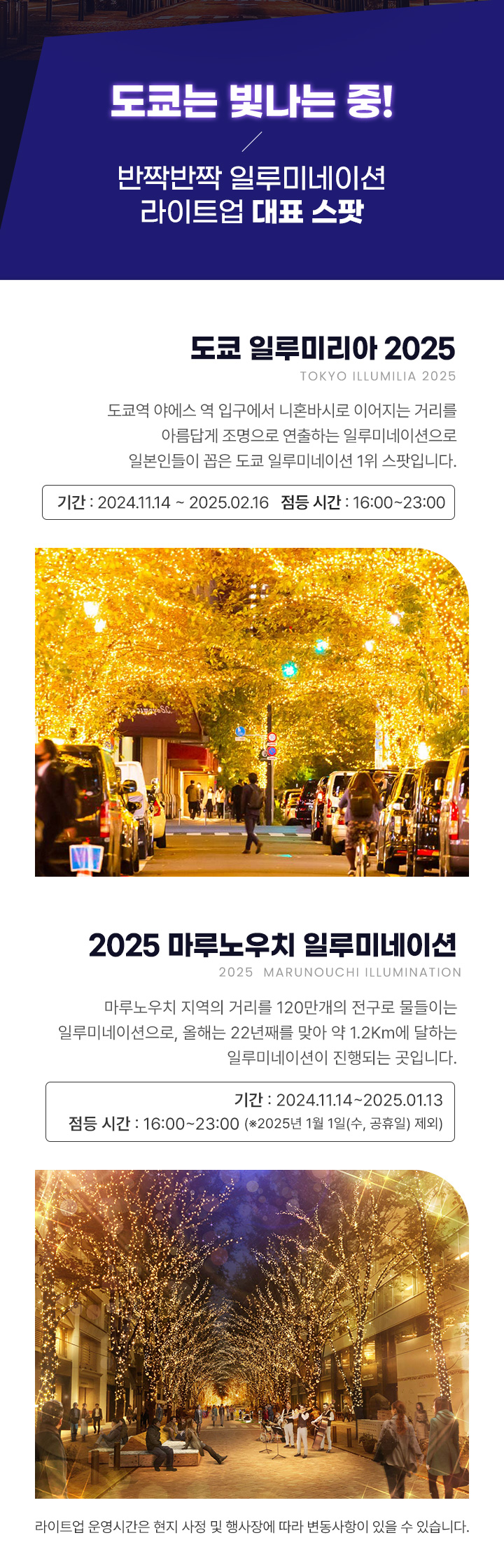 도쿄는 빛나는 중! 반짝반짝 일루미네이션 라이트업 대표 스팟