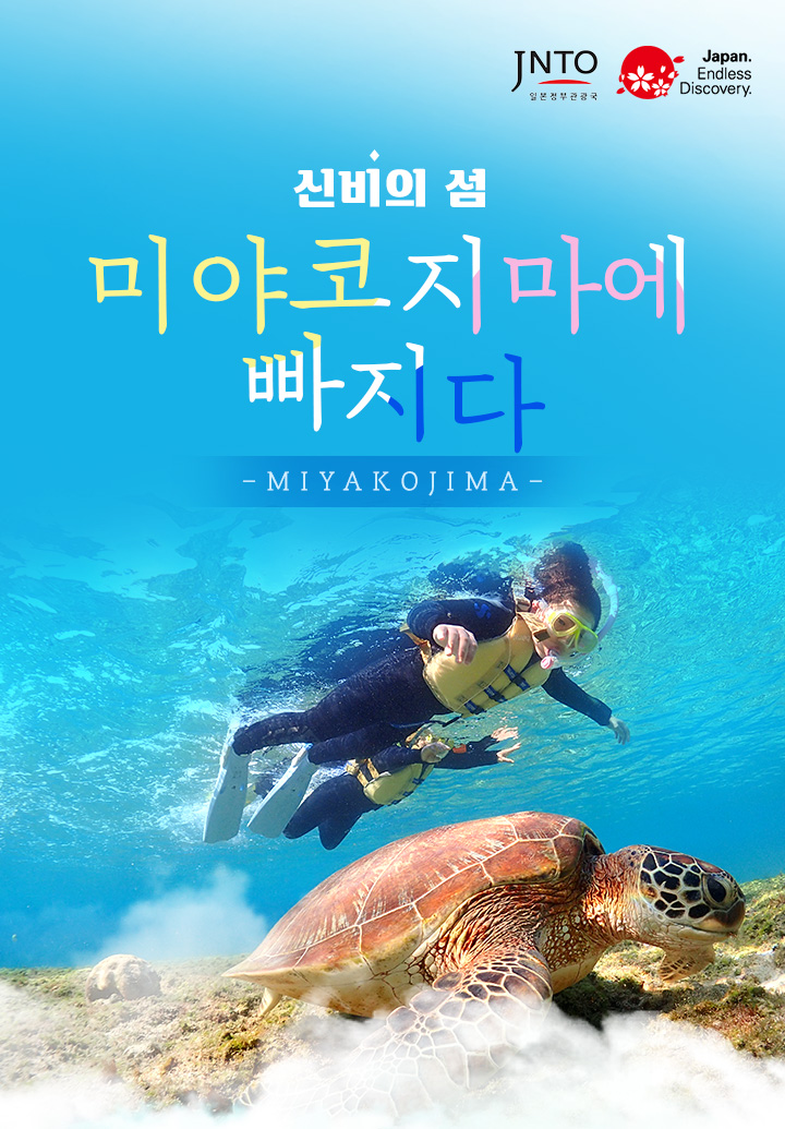 신비의 섬 미야코지마에 빠지다