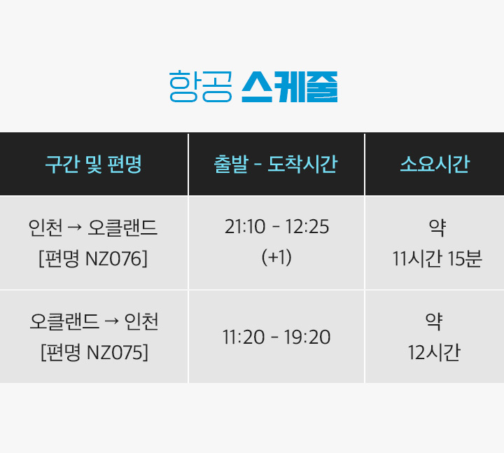 항공스케줄