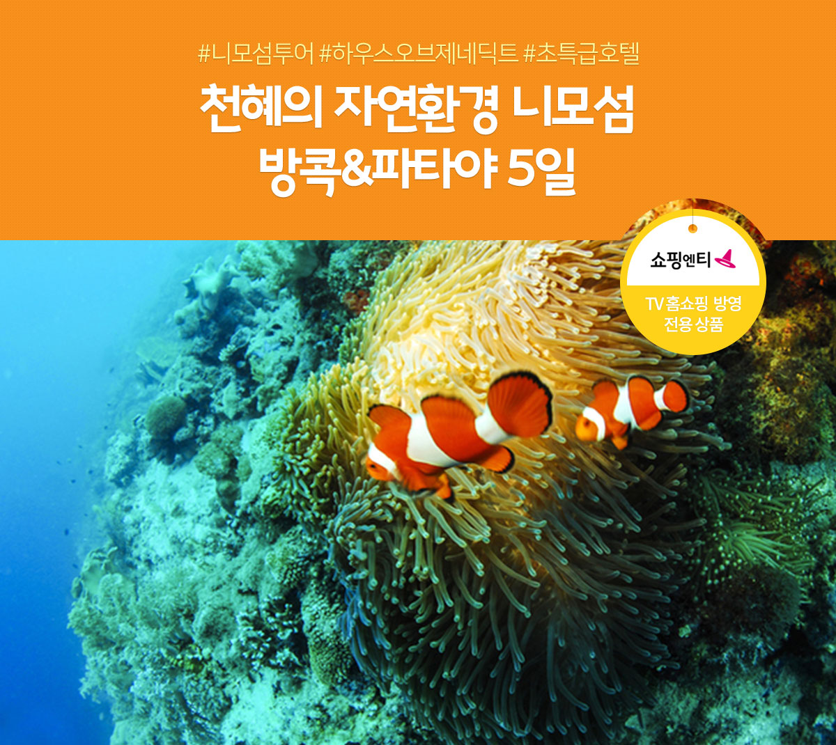 천혜의 자연환경 니모섬, 방콕&파타야 5일
(TV홈쇼핑 방영 전용 상품) 아래 설명