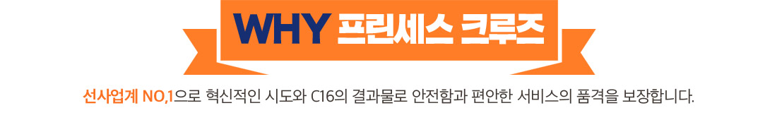 Why 프린세스 크루즈 선사업계 NO,1으로 혁신적인 시도와 C16의 결과물로 안전함과 편안한 서비스의 품격을 보장합니다.