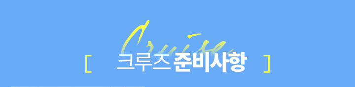 크루즈 준비사항