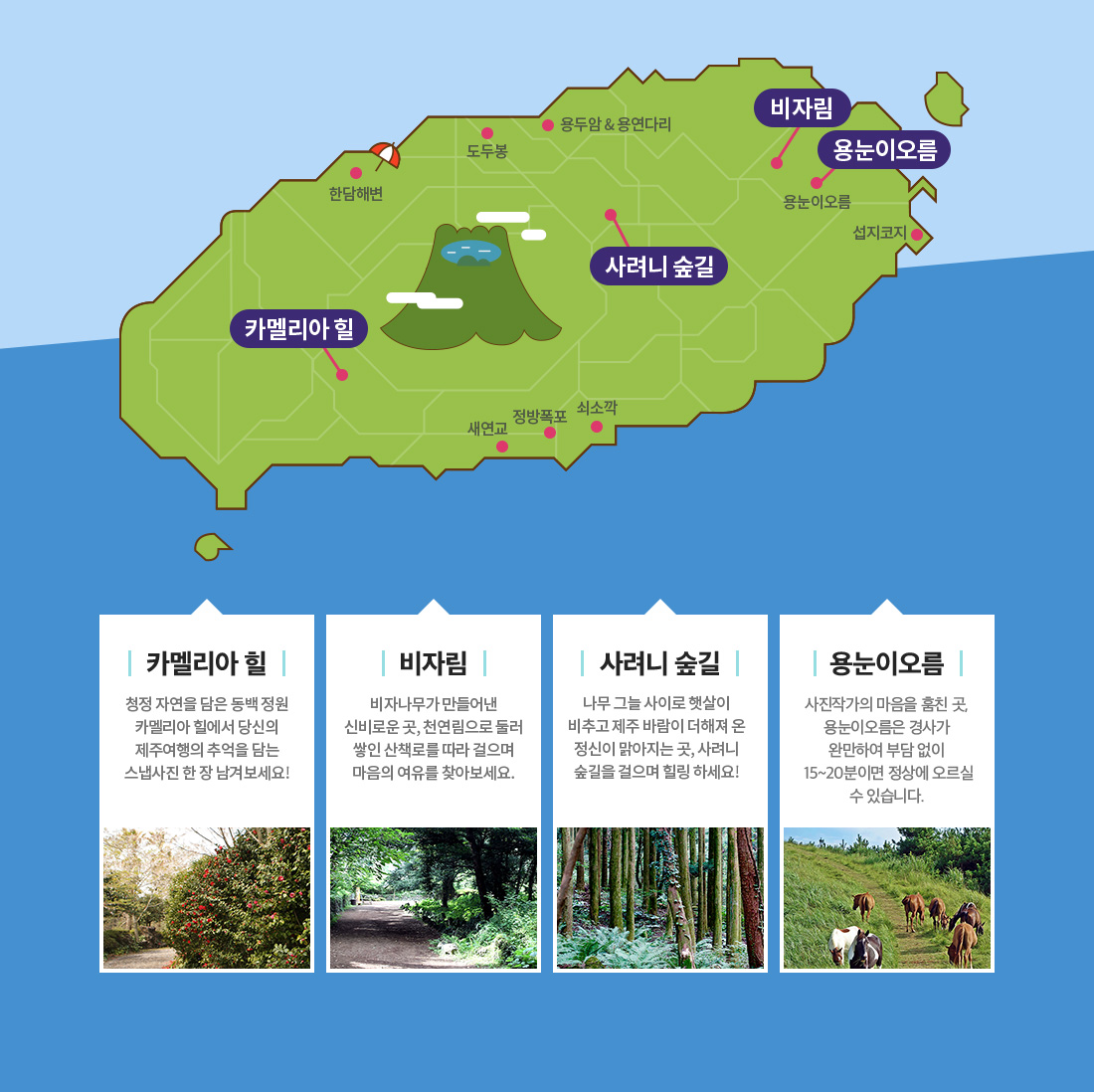 눈의 피로를 풀어줄 제주 자연 자연 아래 설명
