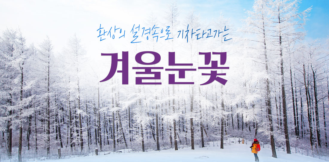 환상의 설경속으로 기차타고 가는 겨울눈꽃