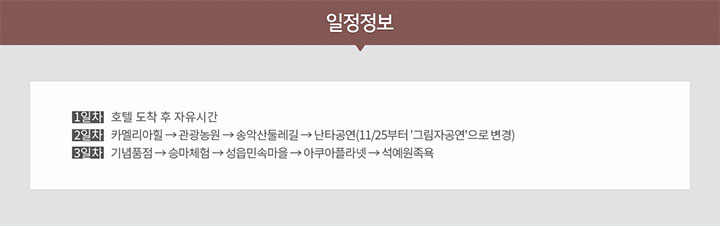 일정 정보