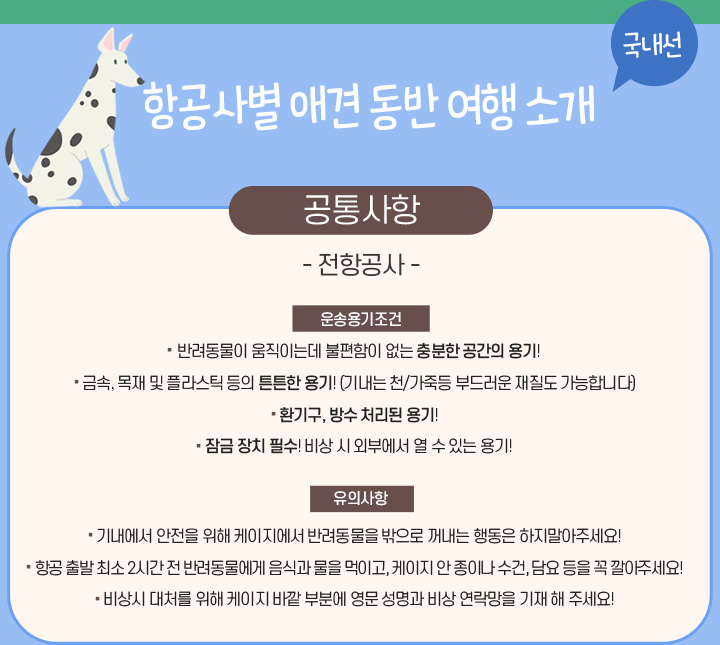 援�궡�� ��났�щ퀎 �좉껄�숇컲 �ы뻾 �뚭컻