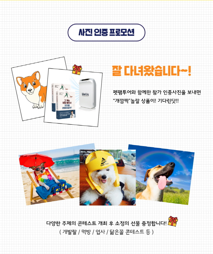 사전인증 프로모션 설명