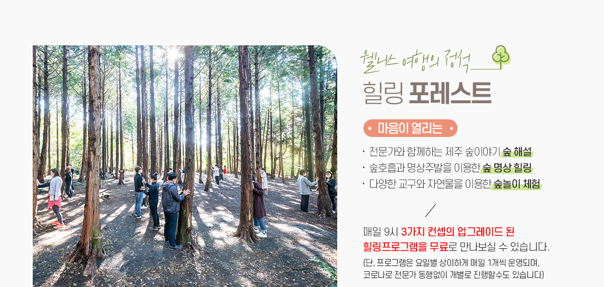 웰니스 여행의 정석.  힐링 포레스트