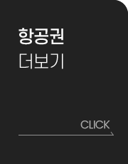 항공권 더 보기