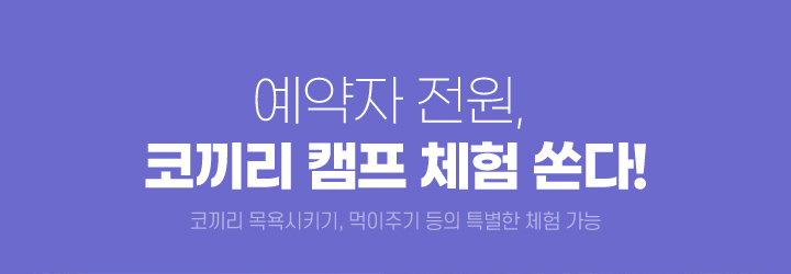 예약자 전원, 코끼리 캠프 체험 쏜다! (코끼리 목욕시키기, 먹이주기 등의 특별한 체험 가능)
