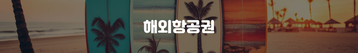 í•´ì™¸í•­ê³µê¶Œ