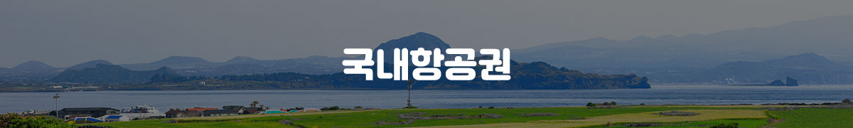 êµ­ë‚´í•­ê³µê¶Œ