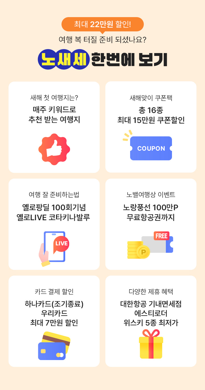 노새세 한번에 보기