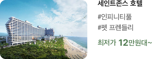 세인트존스 호텔 #인피니티풀 #펫 프렌들리 최저가 12만원대~