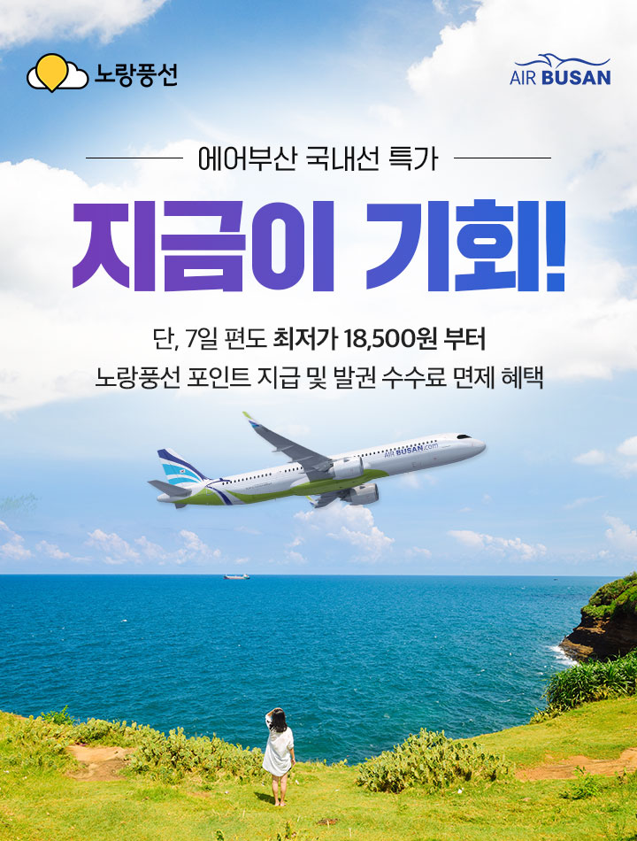 국내선 특가! 지금이 기회