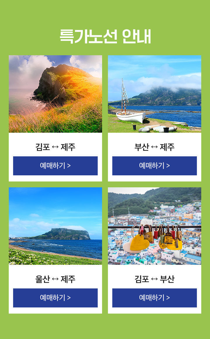 특가노선 아래설명