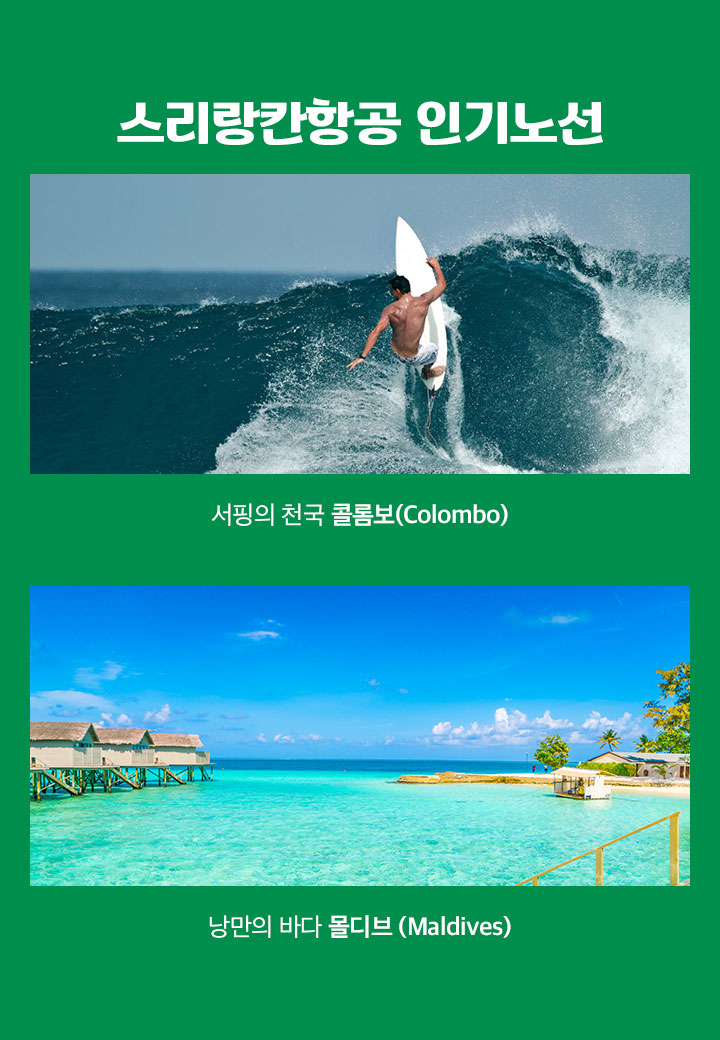 인기노선 아래 설명